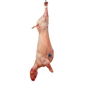 Kreata Makedonia Whole Goat for Spitroasting 9kg-11kg