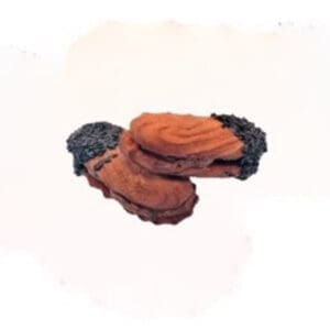 Fedon Petit Fourres - Chocolate & Coconut Truffle 4kg