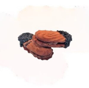 Fedon Petit Fourres - Chocolate & Coconut Truffle 4kg